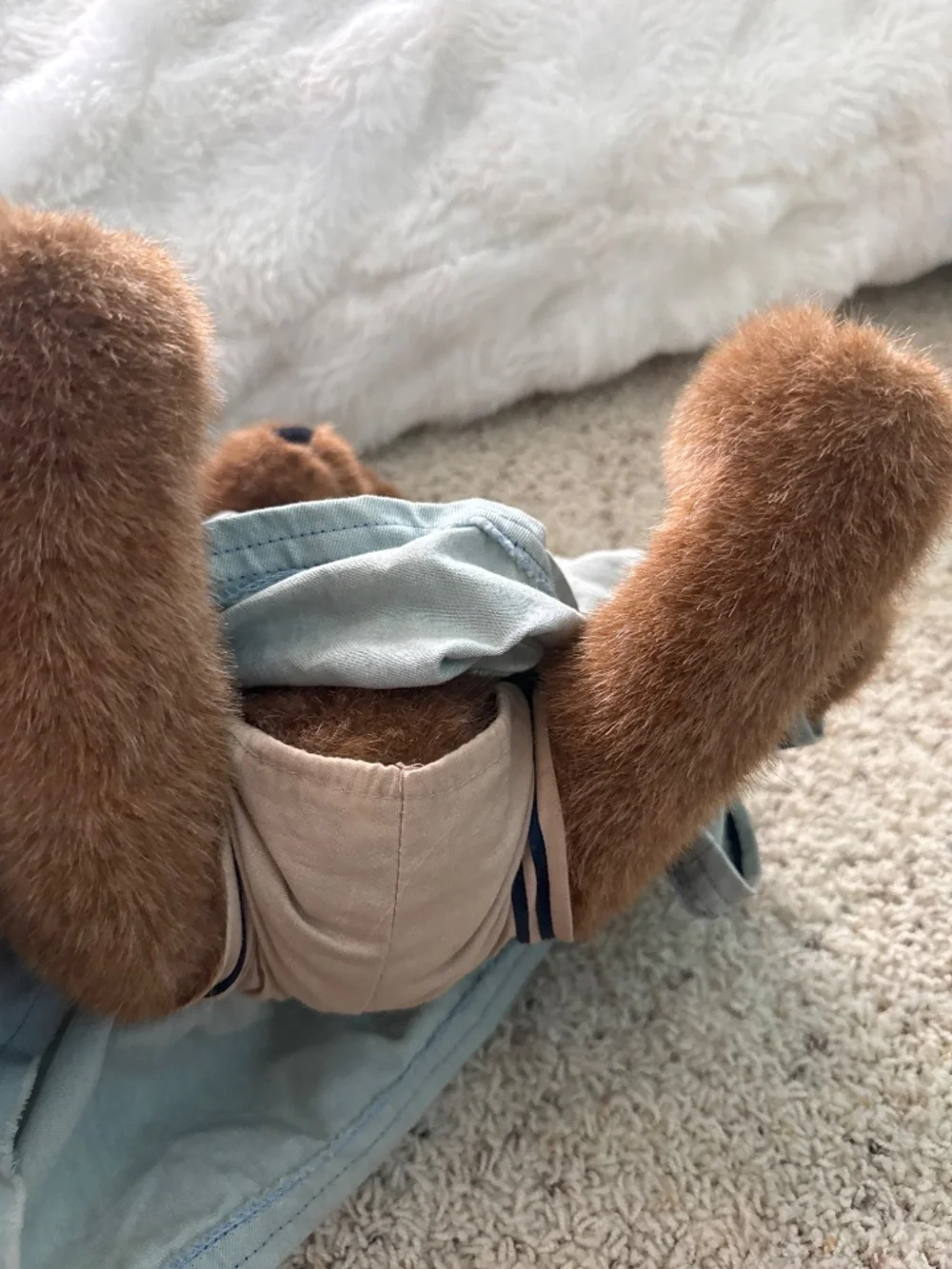 Boyd’s Bear
